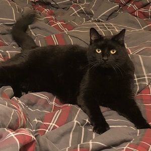 Meet your Posher, Noah